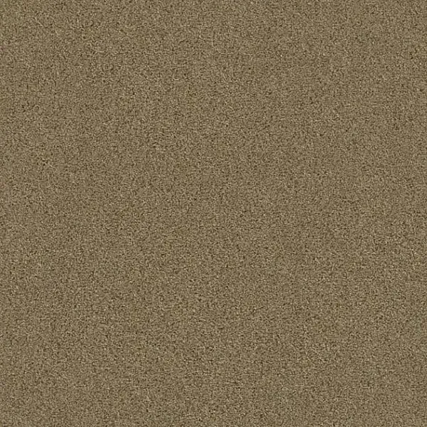 Draufsicht Girloon TWIN Teppichboden Velours 870 Mandel, 2/4 m breit